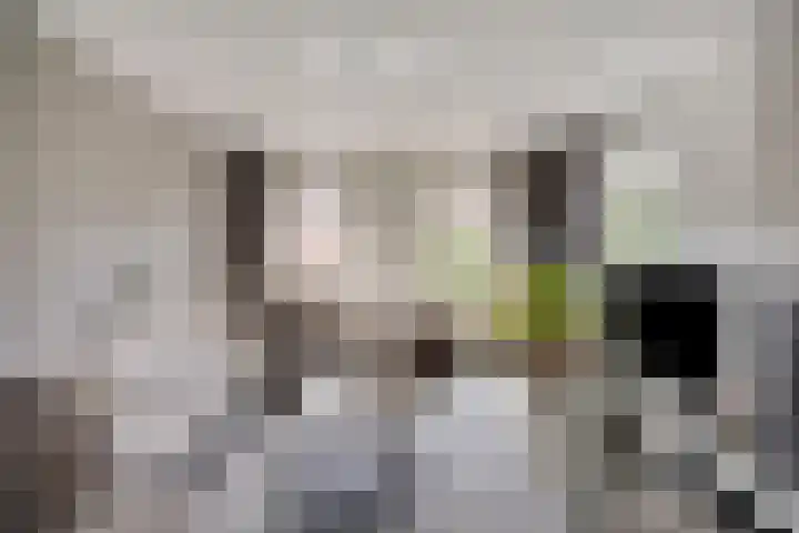 Jasmijnstraat 3 Nederweert thumbnail 10