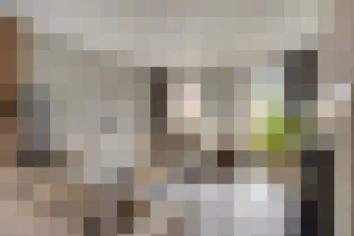 Jasmijnstraat 3 Nederweert thumbnail 11