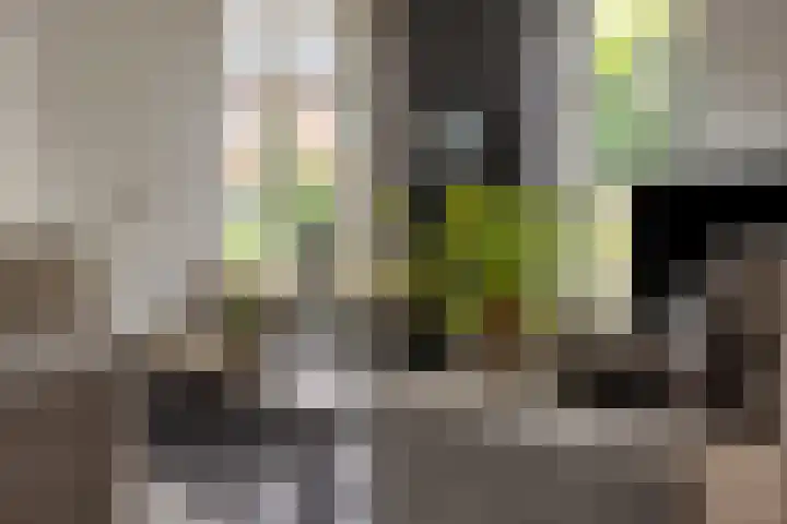 Jasmijnstraat 3 Nederweert thumbnail 12