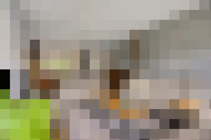 Jasmijnstraat 3 Nederweert thumbnail 14