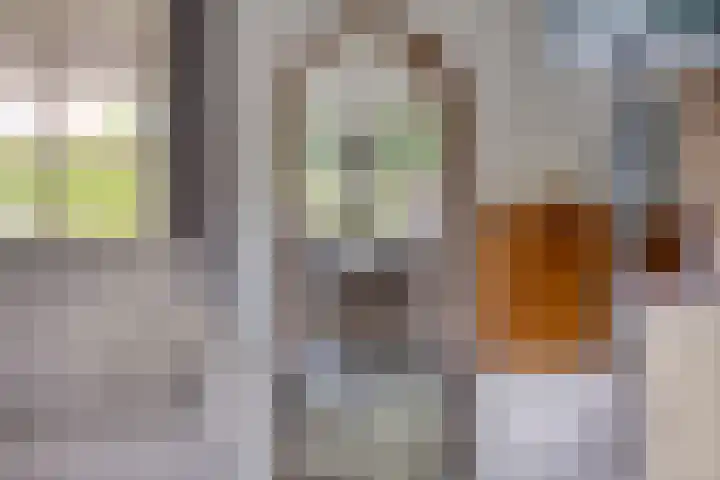 Jasmijnstraat 3 Nederweert thumbnail 17