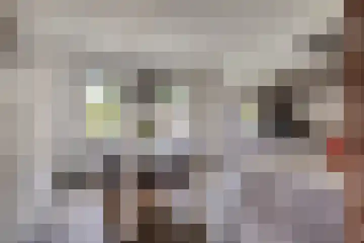 Jasmijnstraat 3 Nederweert thumbnail 18