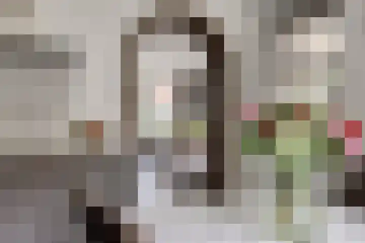 Jasmijnstraat 3 Nederweert thumbnail 19