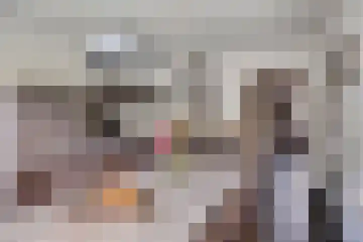 Jasmijnstraat 3 Nederweert thumbnail 20