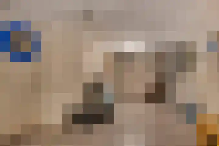 Jasmijnstraat 3 Nederweert thumbnail 24