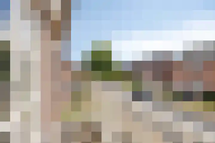 Jasmijnstraat 3 Nederweert thumbnail 31