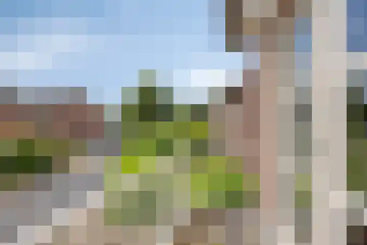 Jasmijnstraat 3 Nederweert thumbnail 32