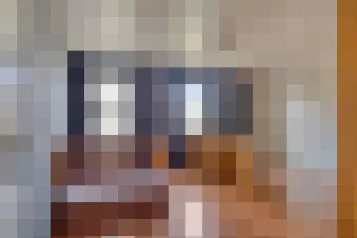 Jasmijnstraat 3 Nederweert thumbnail 33