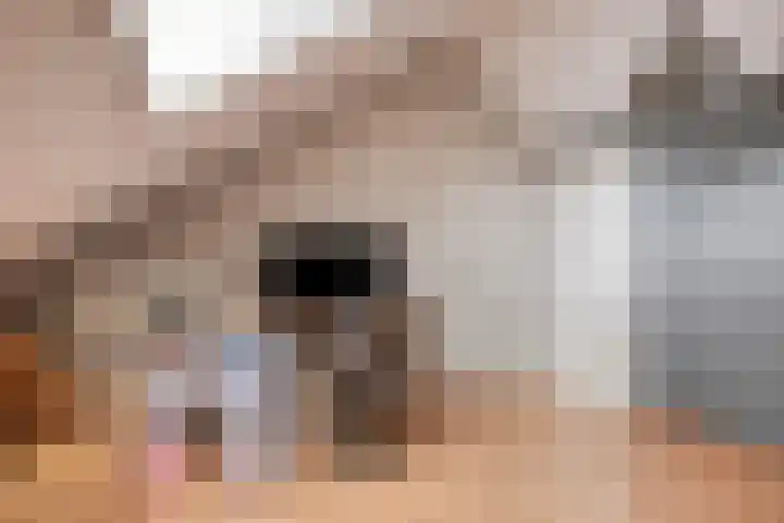 Jasmijnstraat 3 Nederweert thumbnail 41