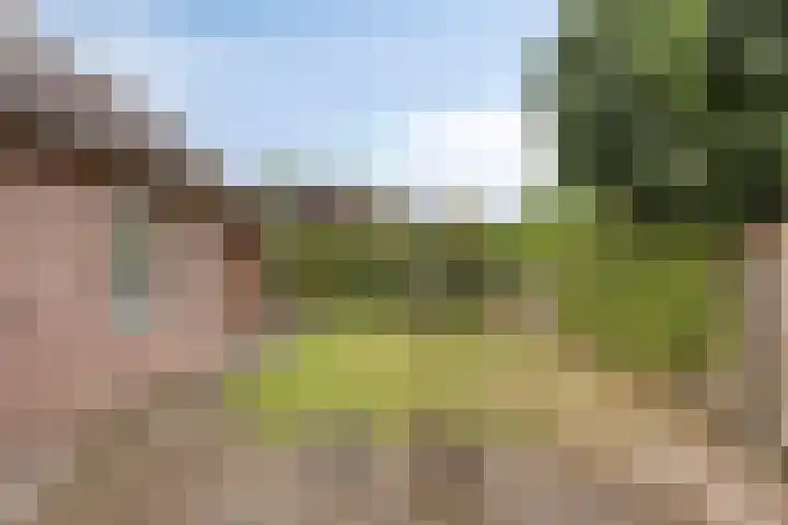 Jasmijnstraat 3 Nederweert thumbnail 45