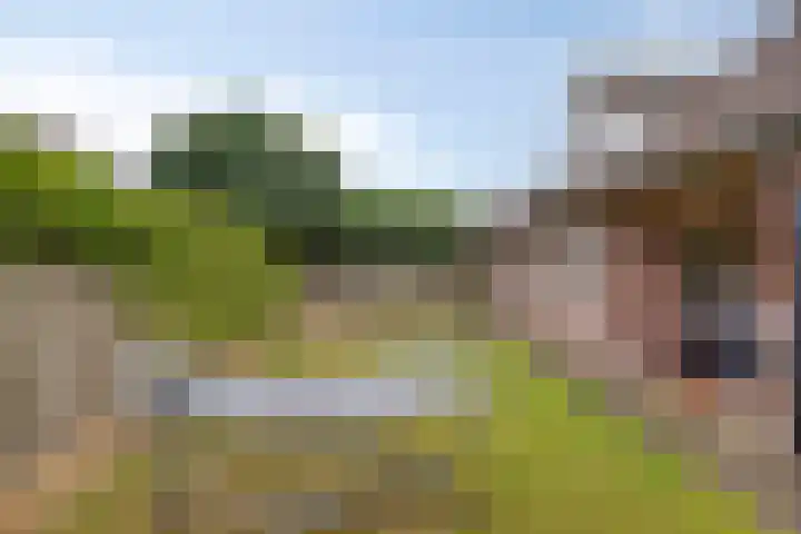 Jasmijnstraat 3 Nederweert thumbnail 47