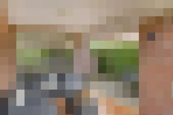 Jasmijnstraat 3 Nederweert thumbnail 49
