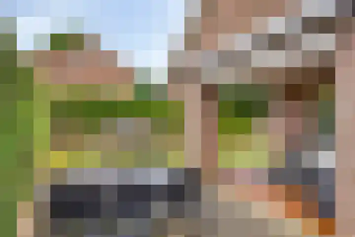 Jasmijnstraat 3 Nederweert thumbnail 50