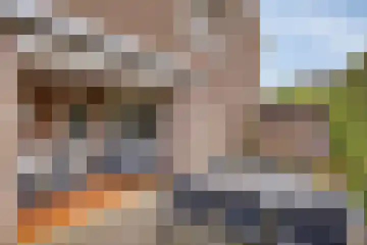 Jasmijnstraat 3 Nederweert thumbnail 51