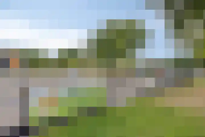 Jasmijnstraat 3 Nederweert thumbnail 57