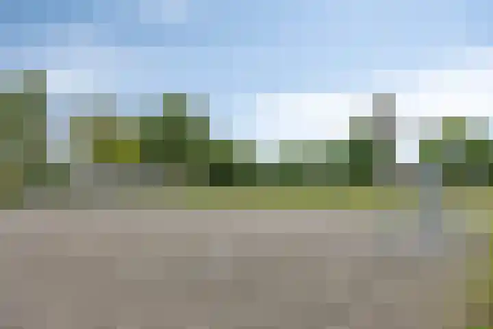 Jasmijnstraat 3 Nederweert thumbnail 58