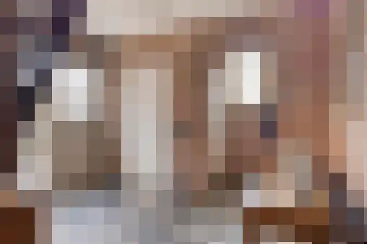 Jasmijnstraat 3 Nederweert thumbnail 7