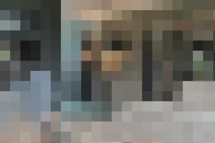Jasmijnstraat 3 Odoorn thumbnail 10