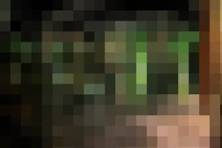 Jasmijnstraat 3 Odoorn thumbnail 100