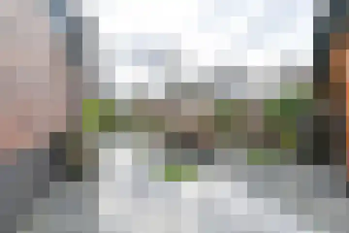 Jasmijnstraat 3 Odoorn thumbnail 101