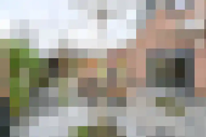 Jasmijnstraat 3 Odoorn thumbnail 103
