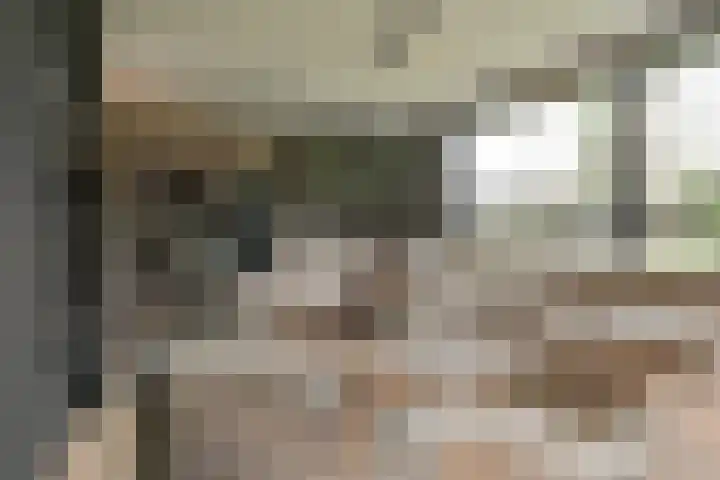 Jasmijnstraat 3 Odoorn thumbnail 14