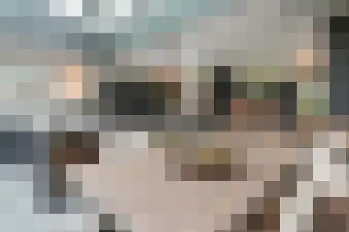 Jasmijnstraat 3 Odoorn thumbnail 29