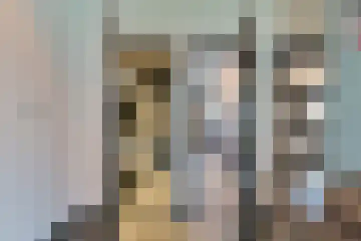 Jasmijnstraat 3 Odoorn thumbnail 34