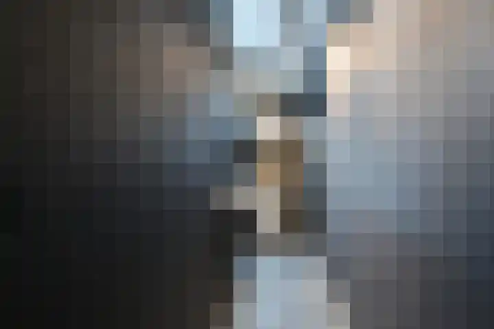 Jasmijnstraat 3 Odoorn thumbnail 36