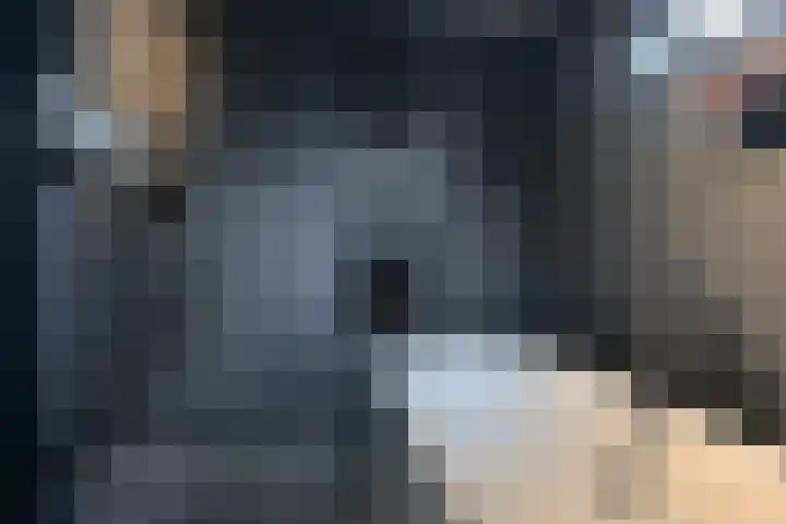 Jasmijnstraat 3 Odoorn thumbnail 39