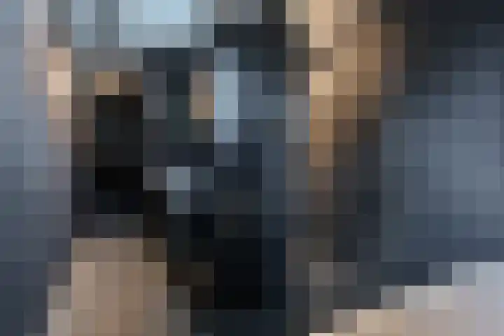 Jasmijnstraat 3 Odoorn thumbnail 40