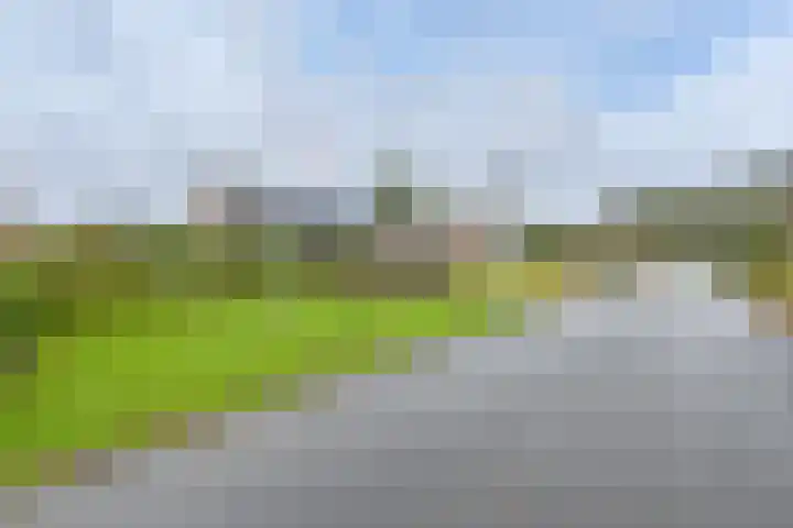 Jasmijnstraat 3 Odoorn thumbnail 5
