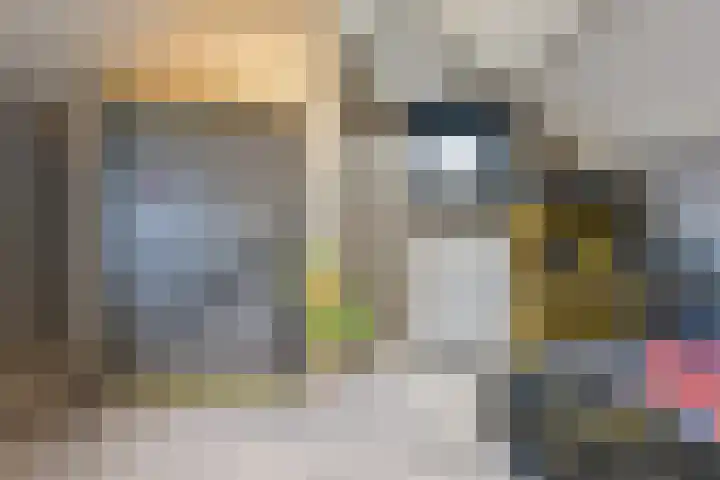 Jasmijnstraat 3 Odoorn thumbnail 55