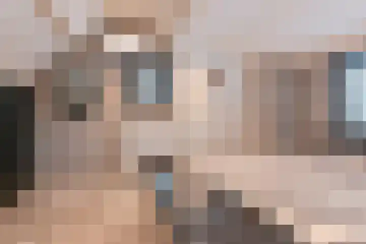 Jasmijnstraat 3 Odoorn thumbnail 66
