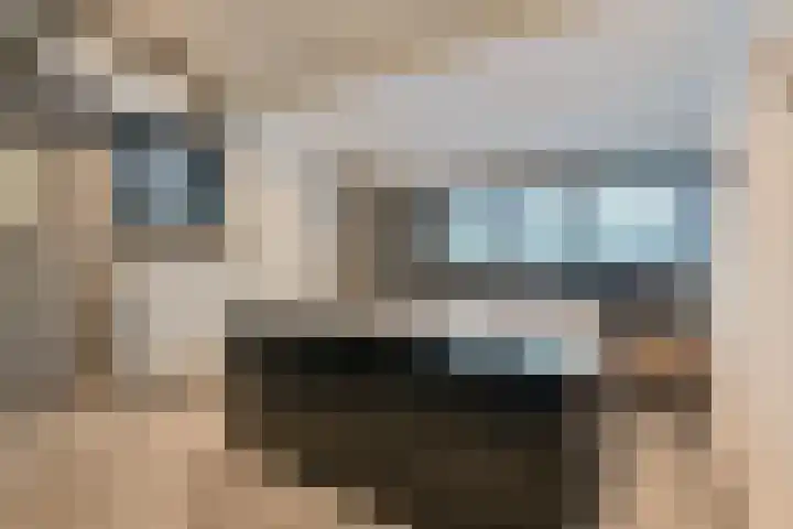 Jasmijnstraat 3 Odoorn thumbnail 67