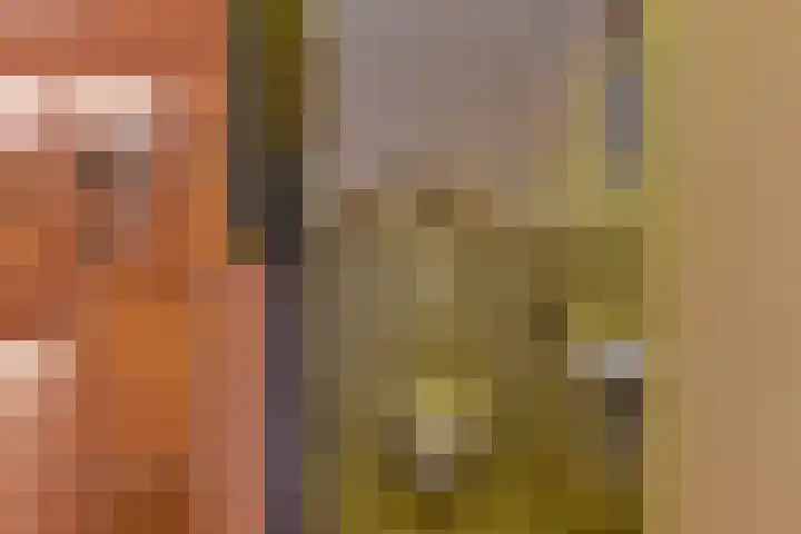Jasmijnstraat 3 Odoorn thumbnail 79