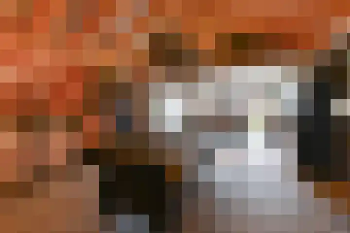 Jasmijnstraat 3 Odoorn thumbnail 83