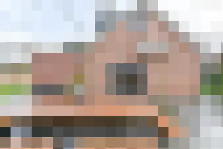 Jasmijnstraat 3 Odoorn thumbnail 98