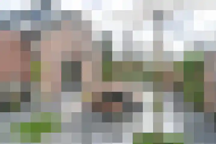 Jasmijnstraat 3 Odoorn thumbnail 99