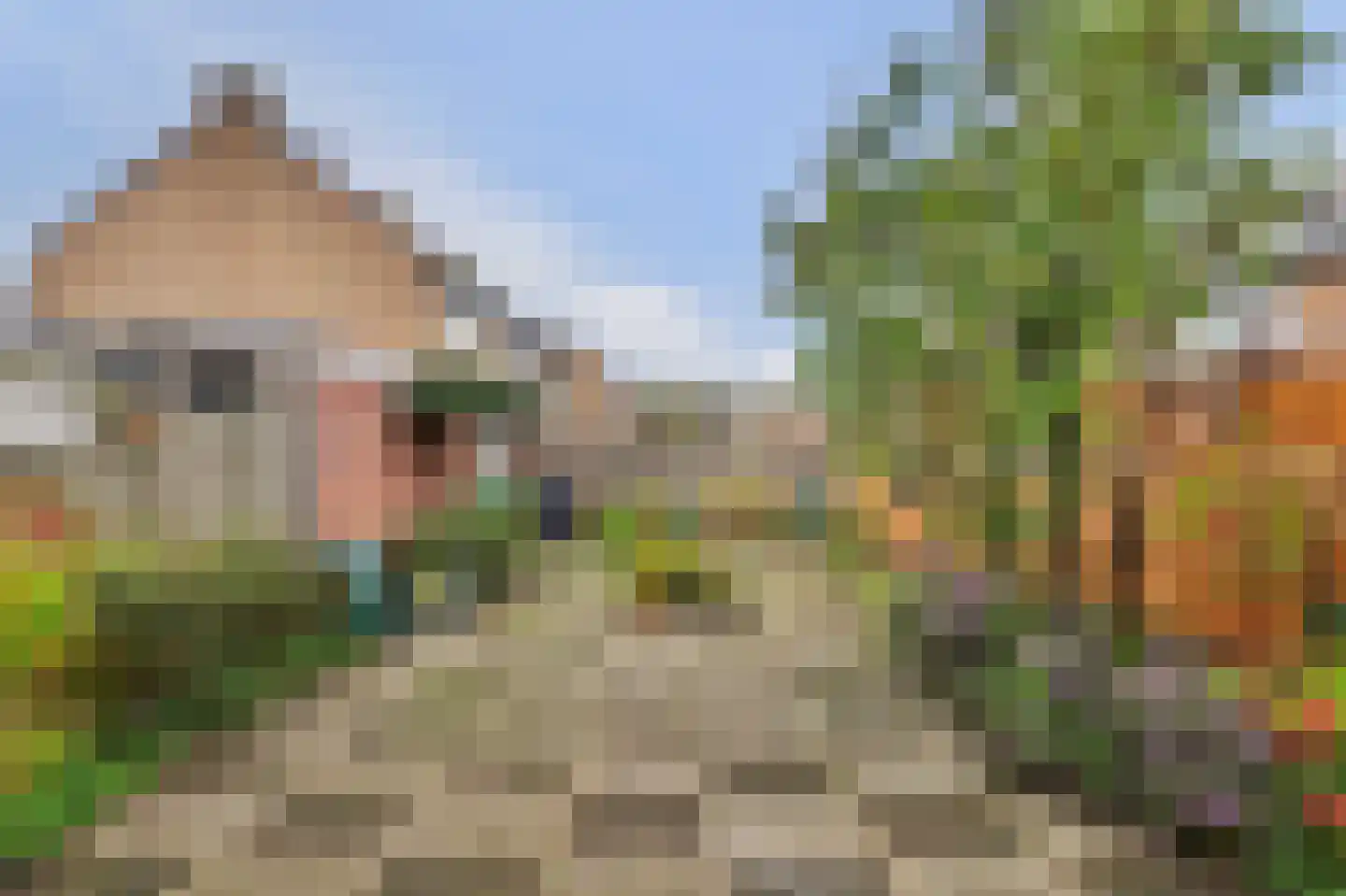 Jasmijnstraat 31 Puttershoek thumbnail 34