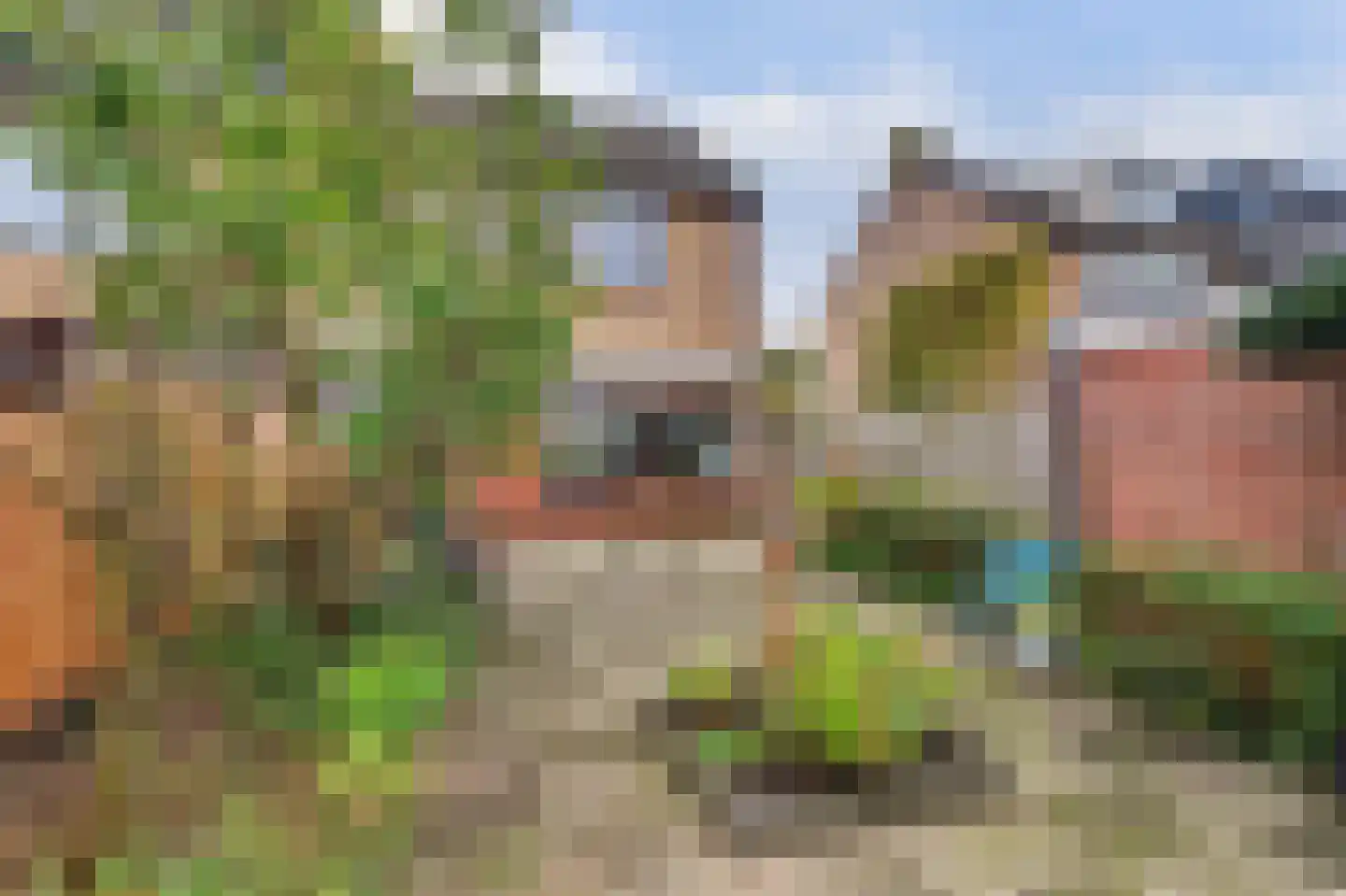 Jasmijnstraat 31 Puttershoek thumbnail 35
