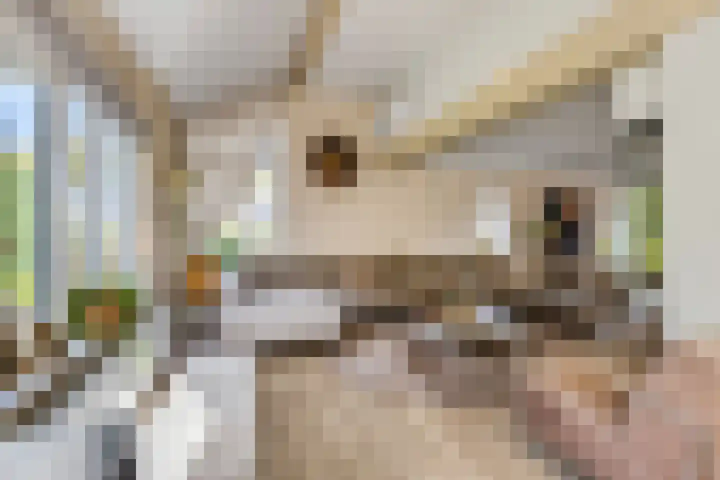 Jasmijnstraat 32 Opheusden thumbnail 11