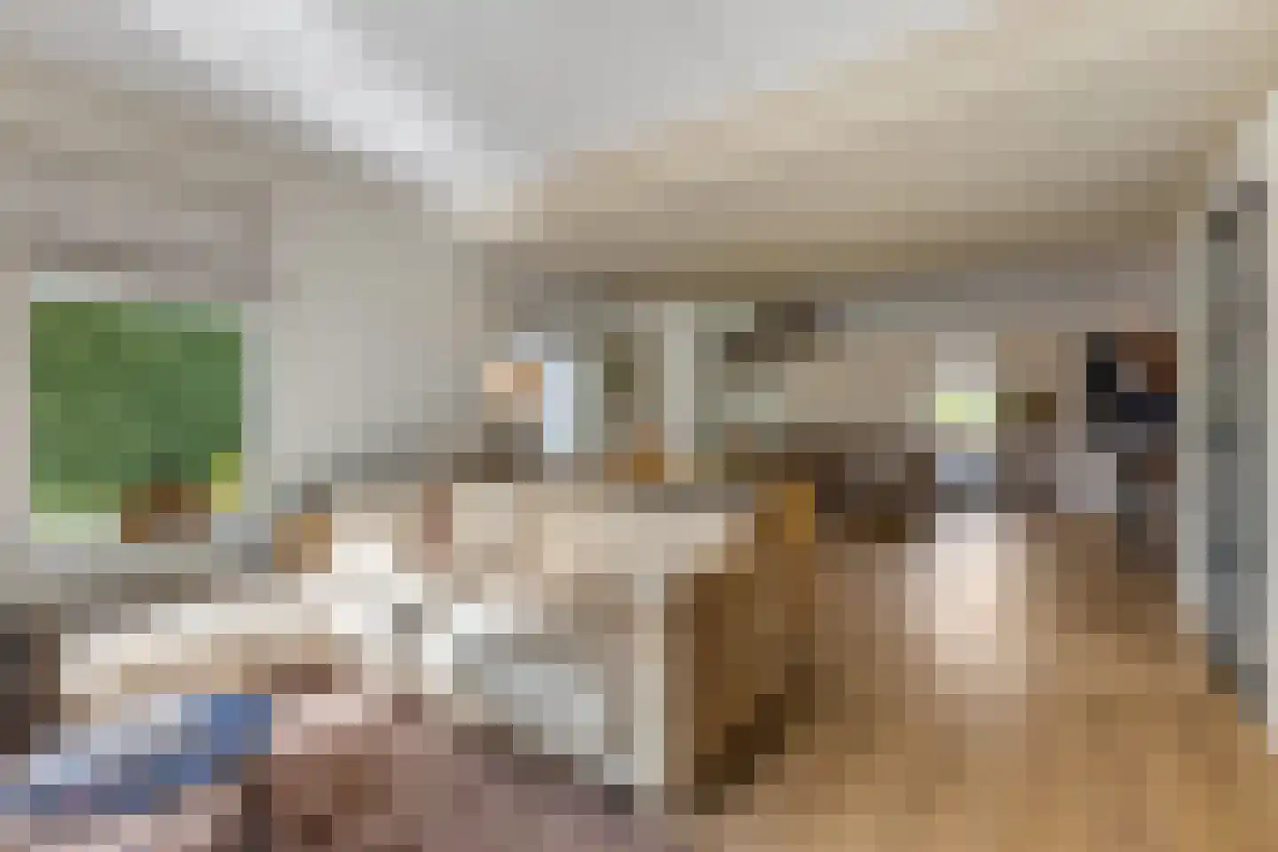Jasmijnstraat 32 Opheusden thumbnail 14
