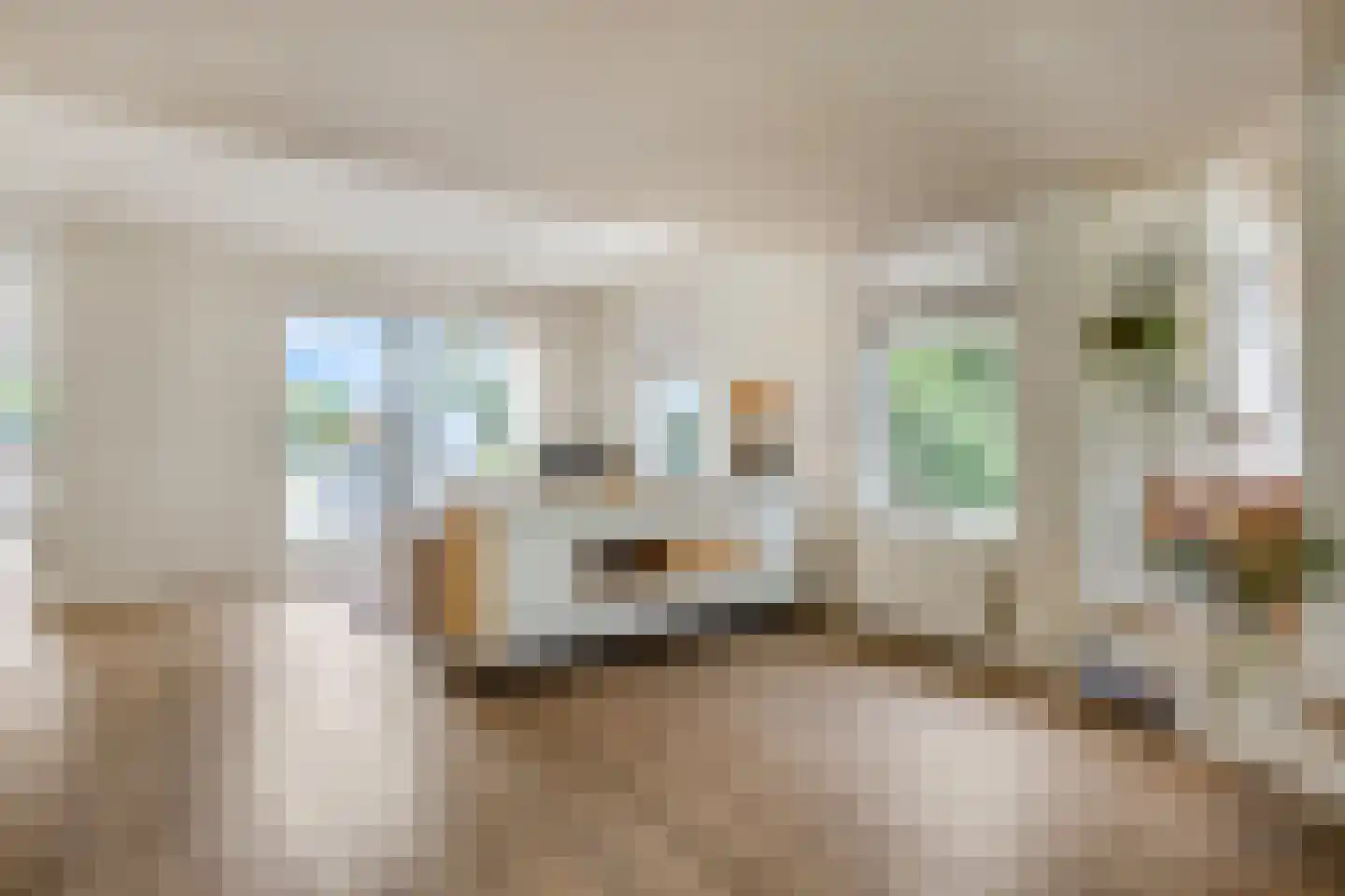 Jasmijnstraat 32 Opheusden thumbnail 15