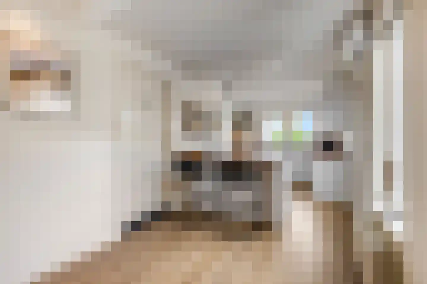 Jasmijnstraat 32 Opheusden thumbnail 16