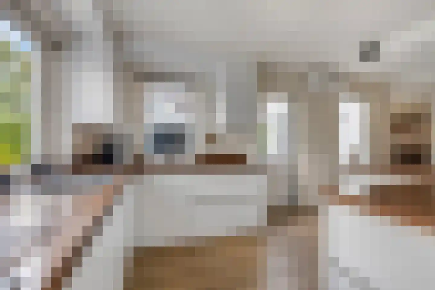 Jasmijnstraat 32 Opheusden thumbnail 17