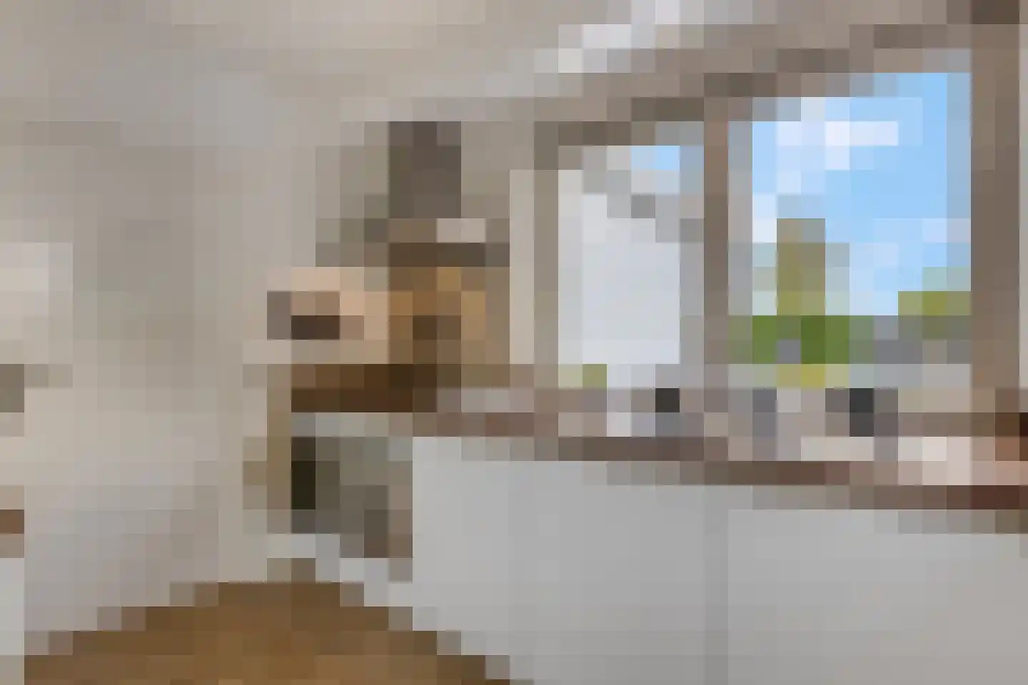 Jasmijnstraat 32 Opheusden thumbnail 18