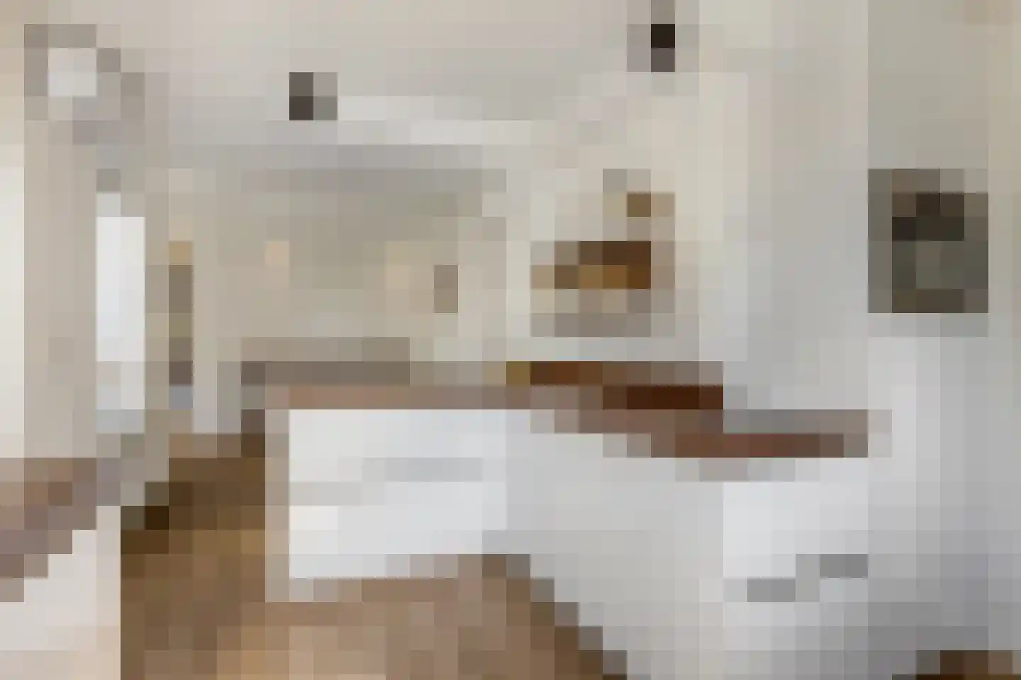 Jasmijnstraat 32 Opheusden thumbnail 22
