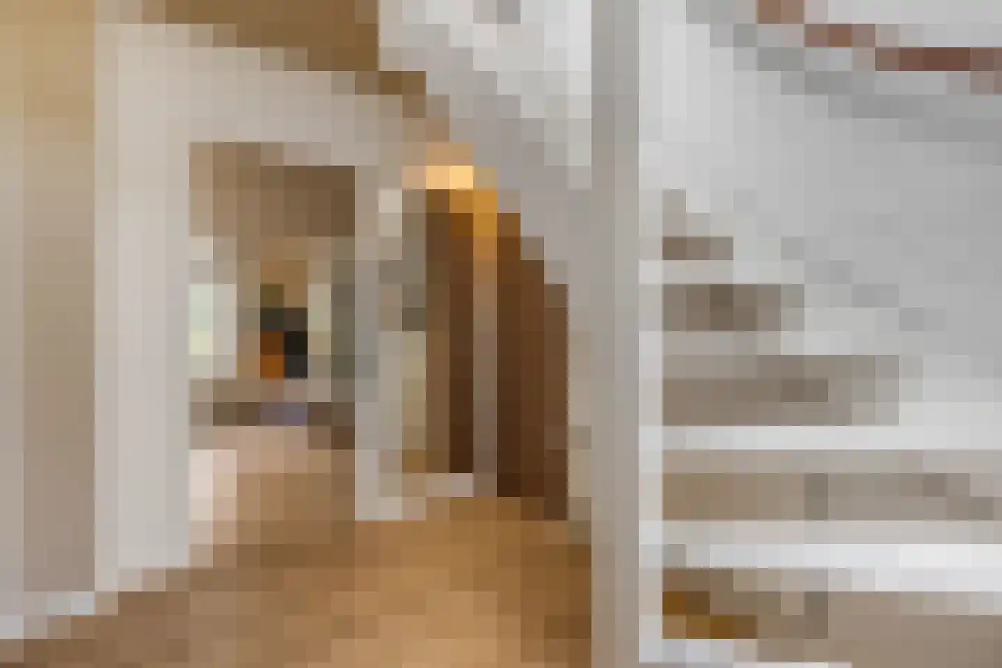 Jasmijnstraat 32 Opheusden thumbnail 24
