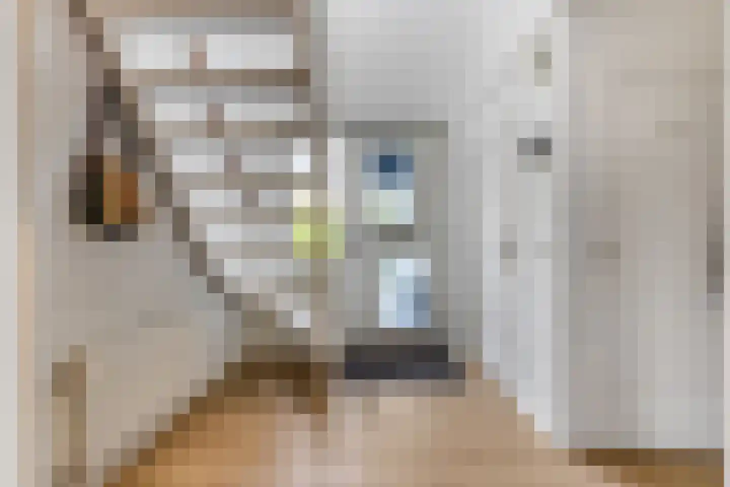 Jasmijnstraat 32 Opheusden thumbnail 26